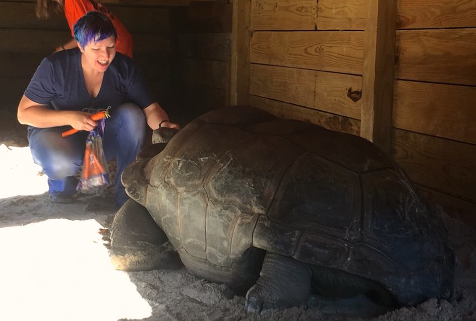 Aldabra Breeders