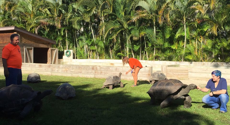 Aldabra Breeders