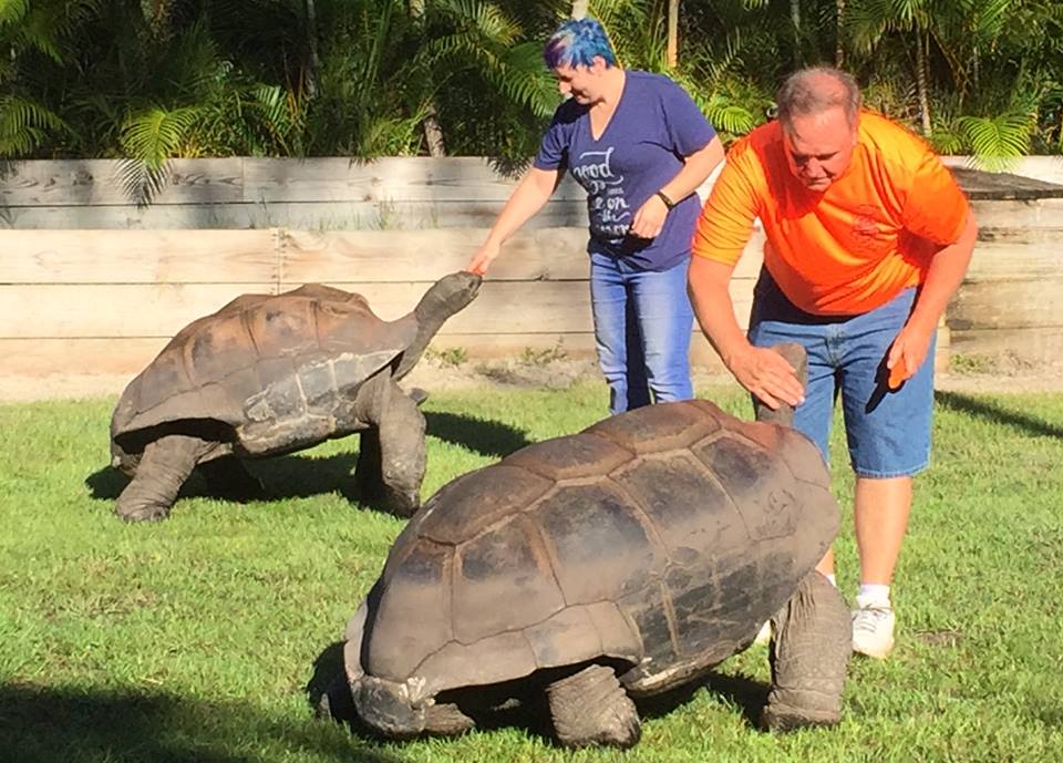 Aldabra Breeders