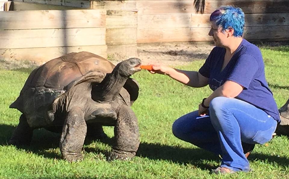 Aldabra Breeders