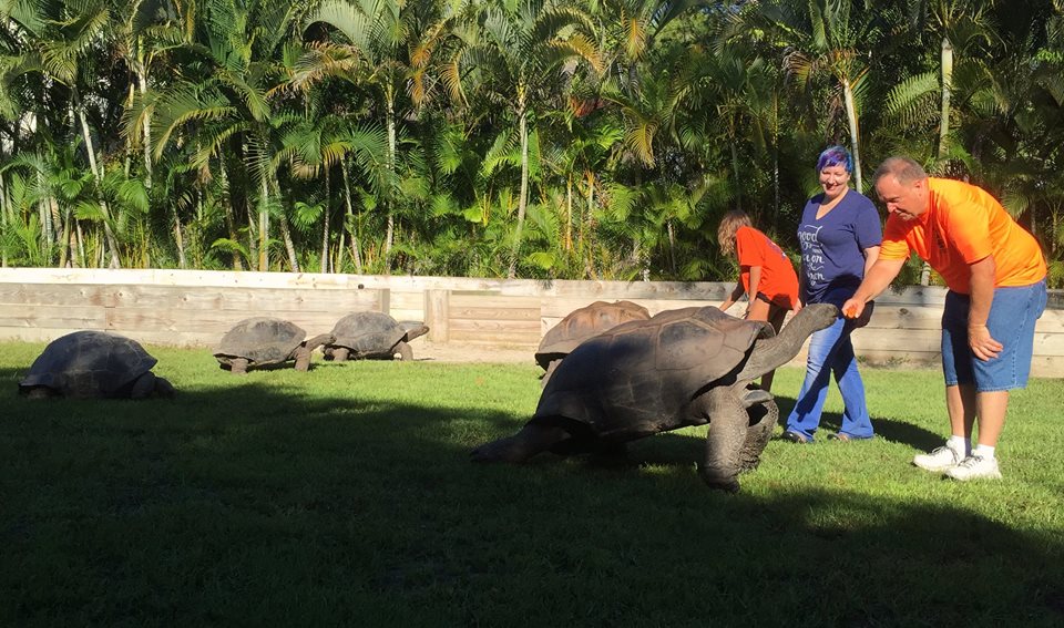 Aldabra Breeders