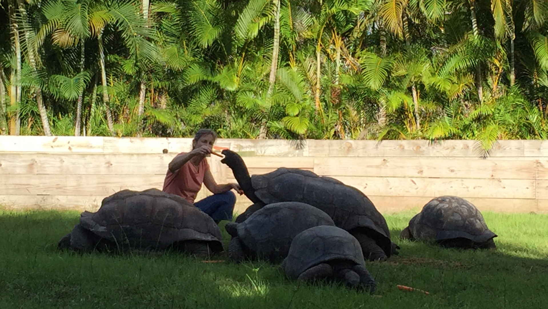 Aldabra Breeders
