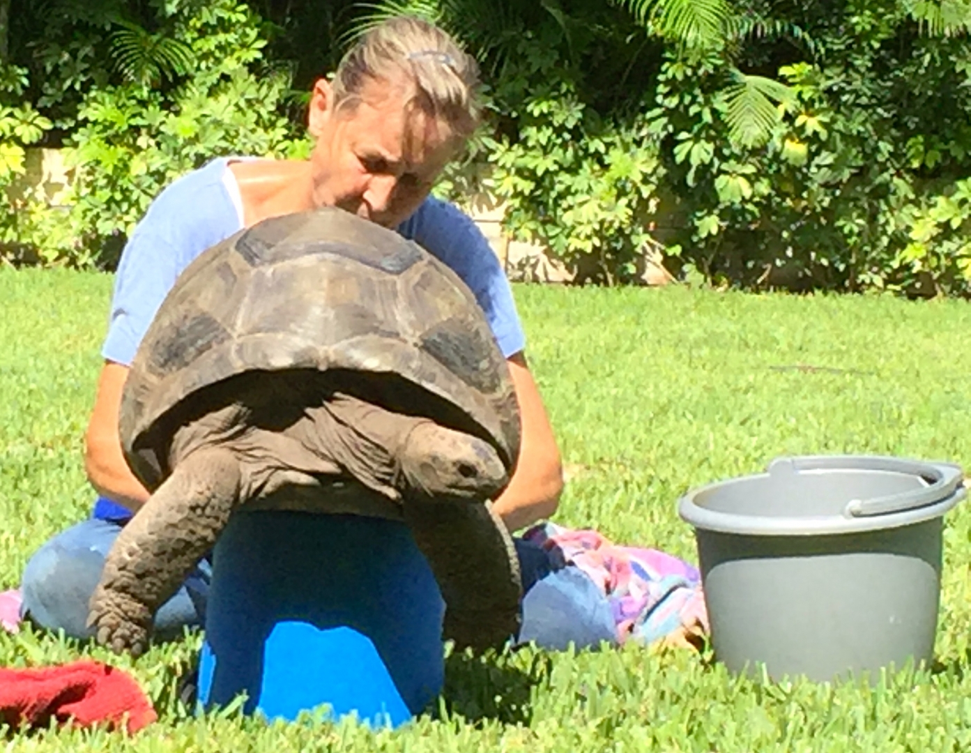Aldabra Breeders