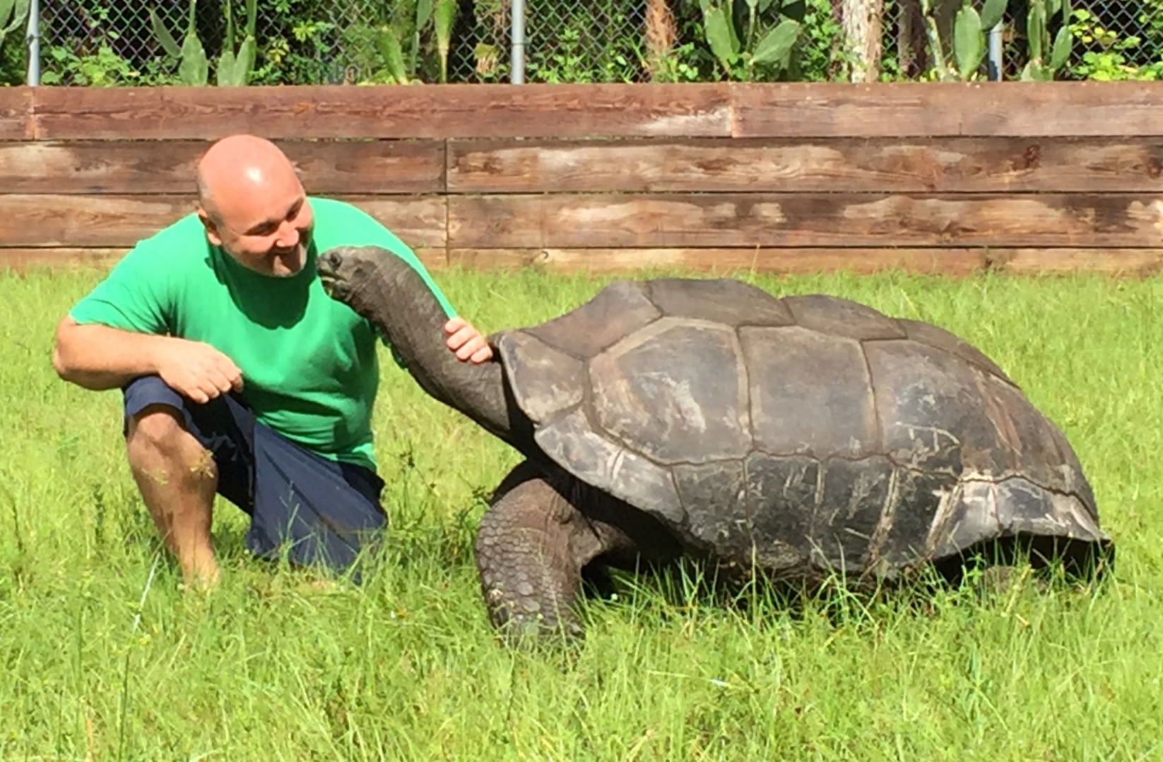 Aldabra Breeders