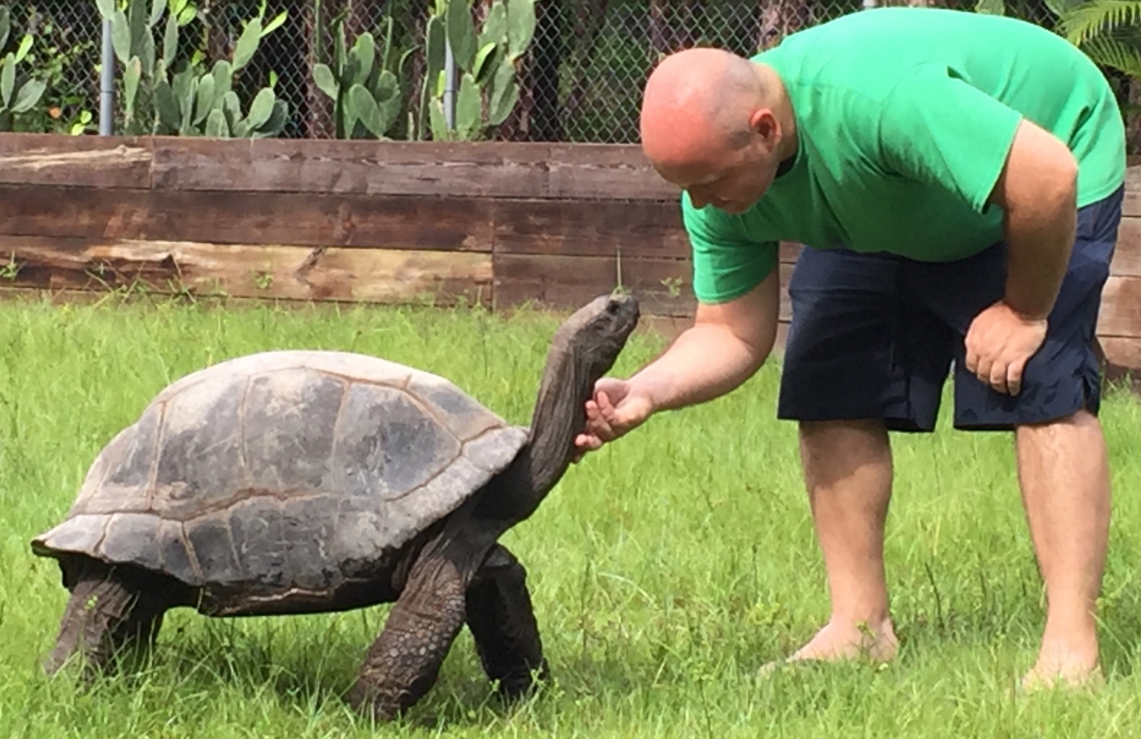 Aldabra Breeders