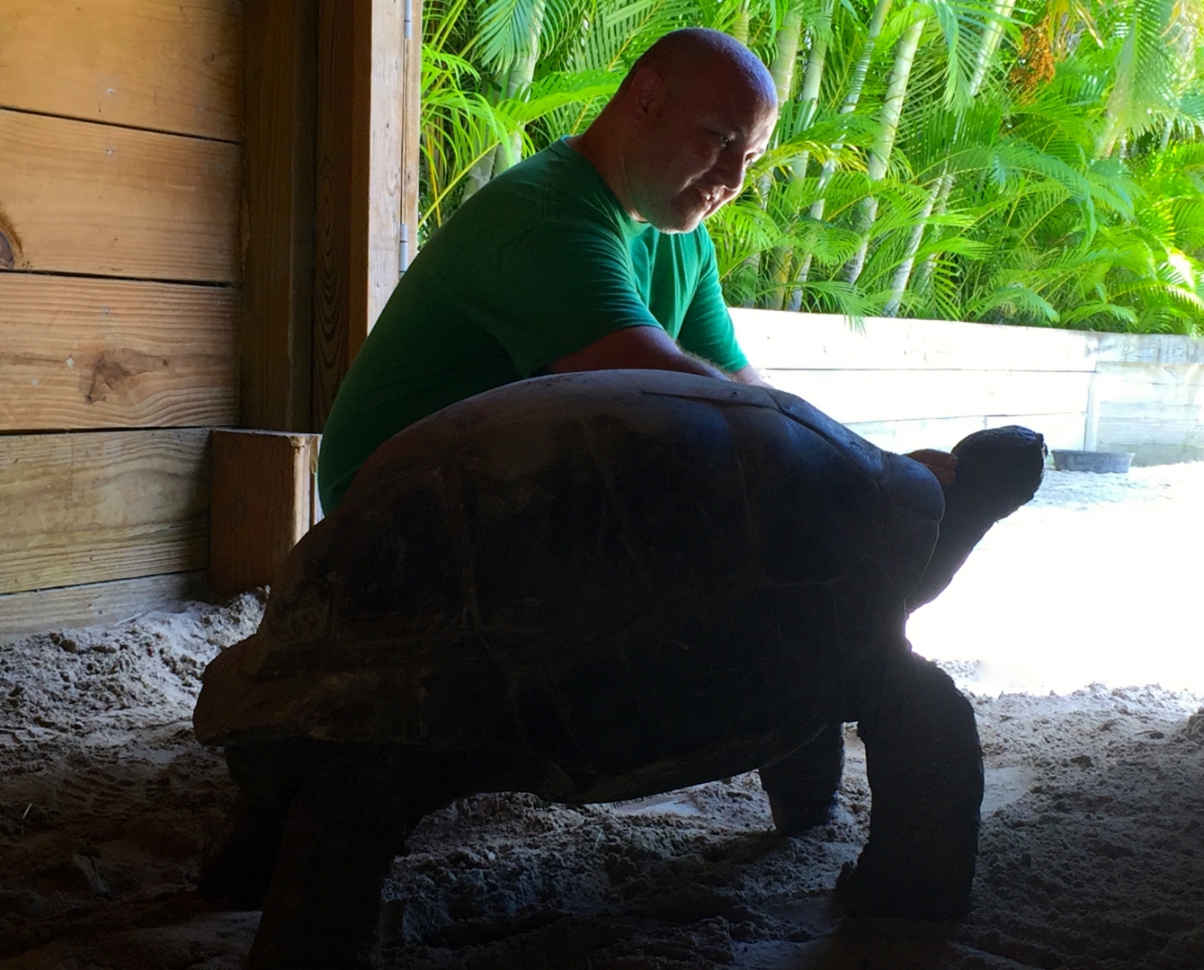 Aldabra Breeders
