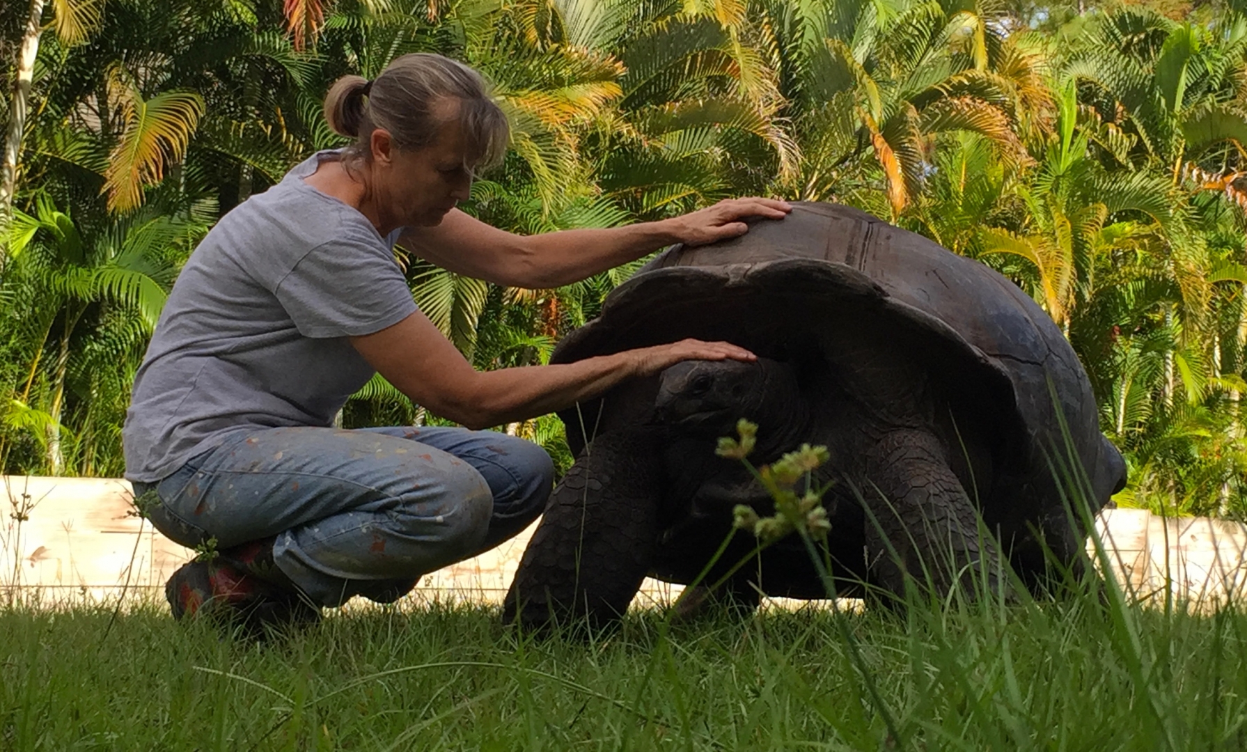 Aldabra Breeders
