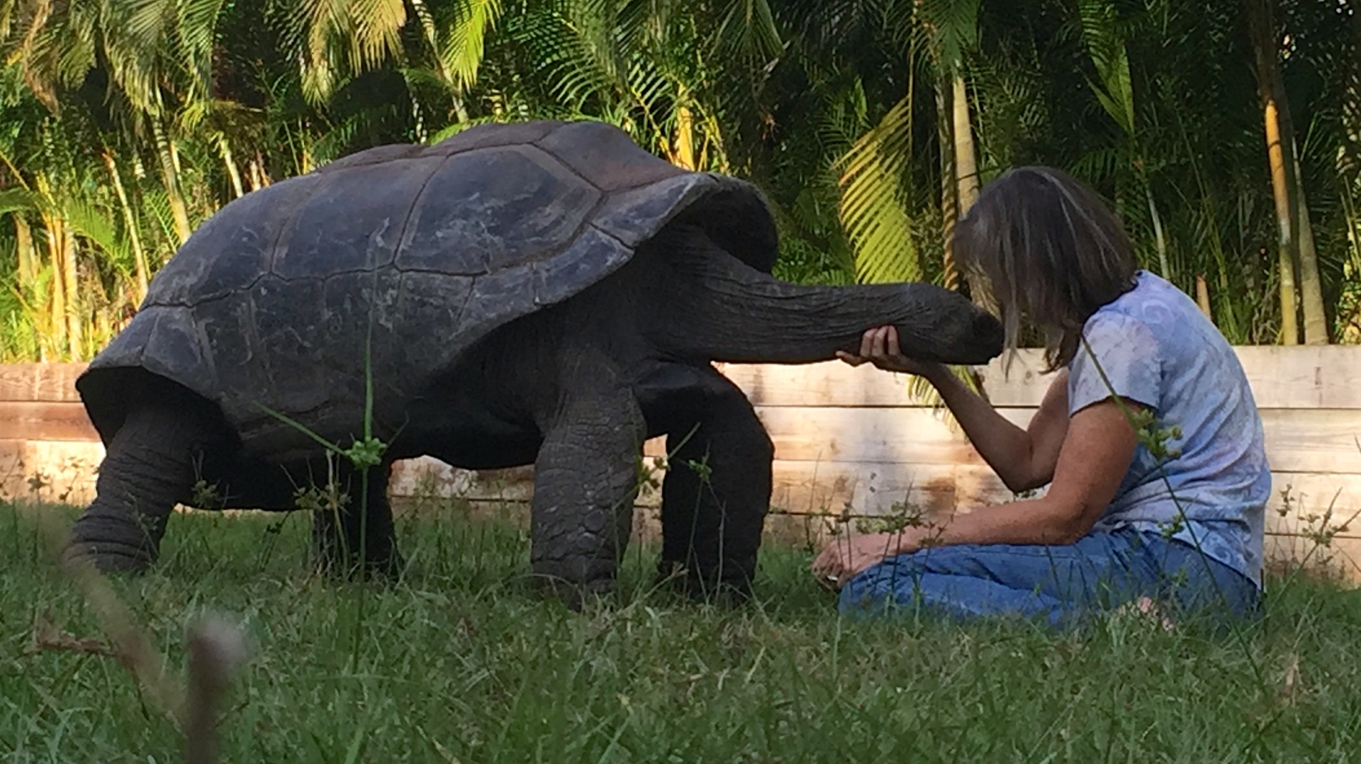 Aldabra Breeders