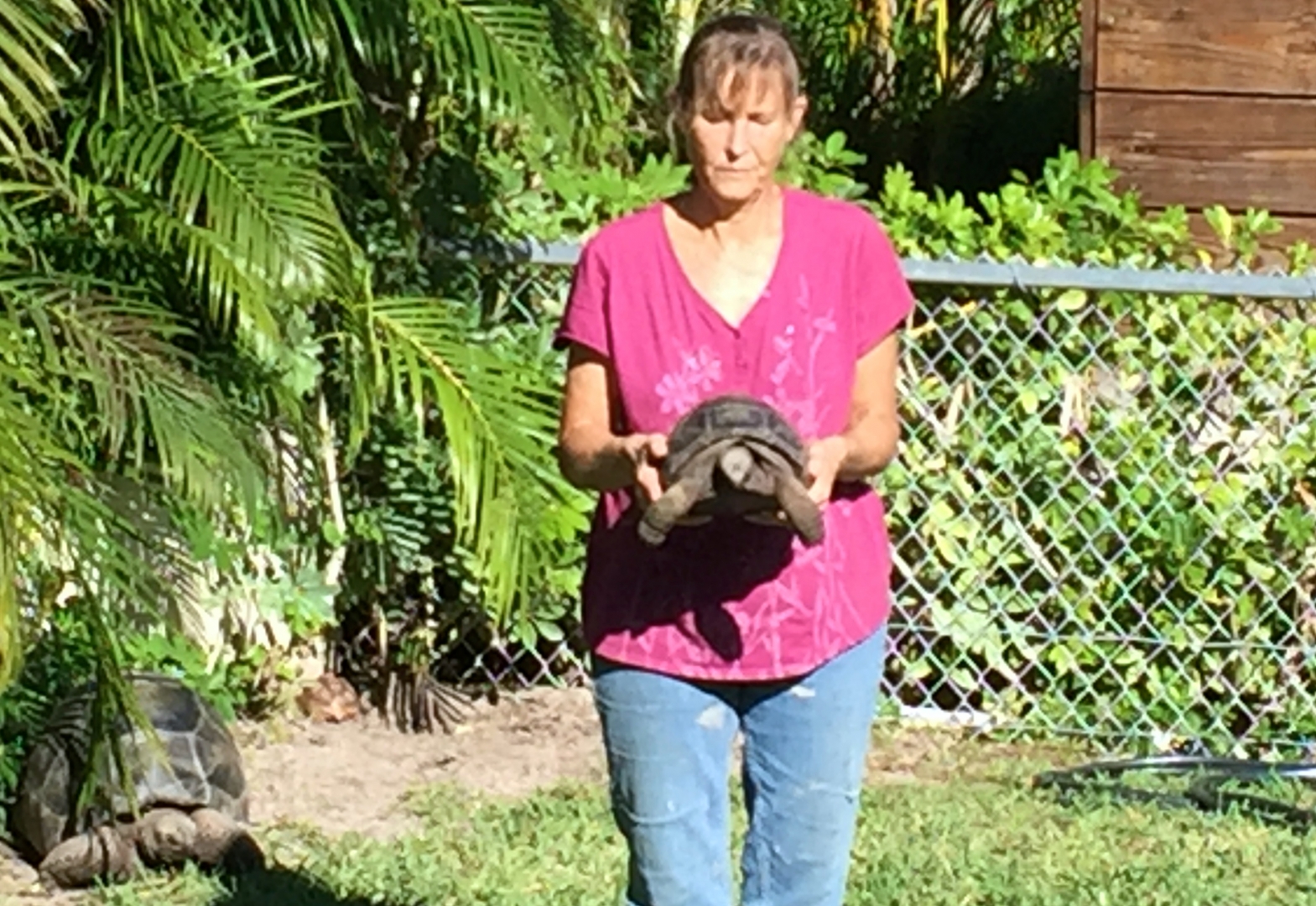 Aldabra Breeders