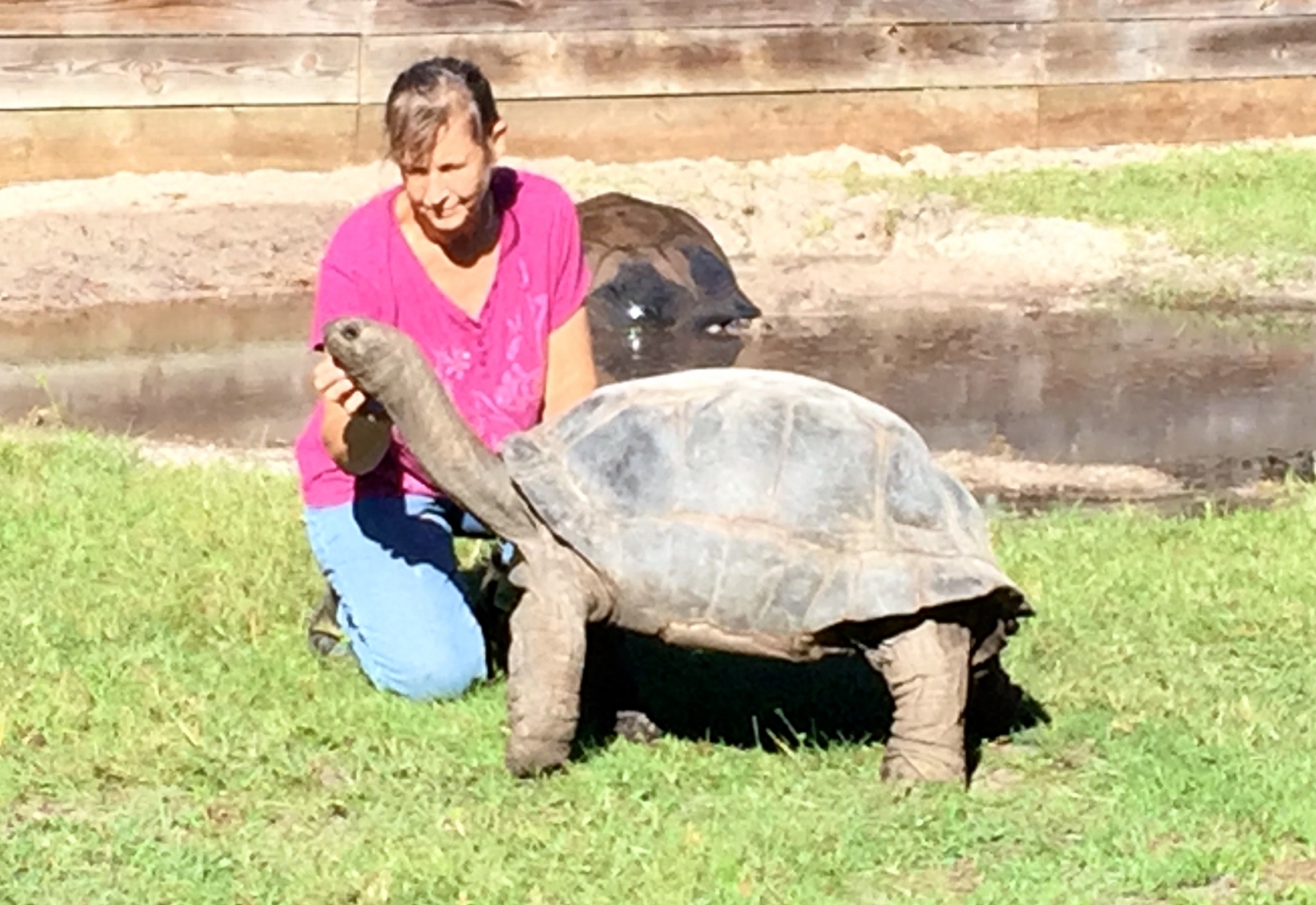 Aldabra Breeders