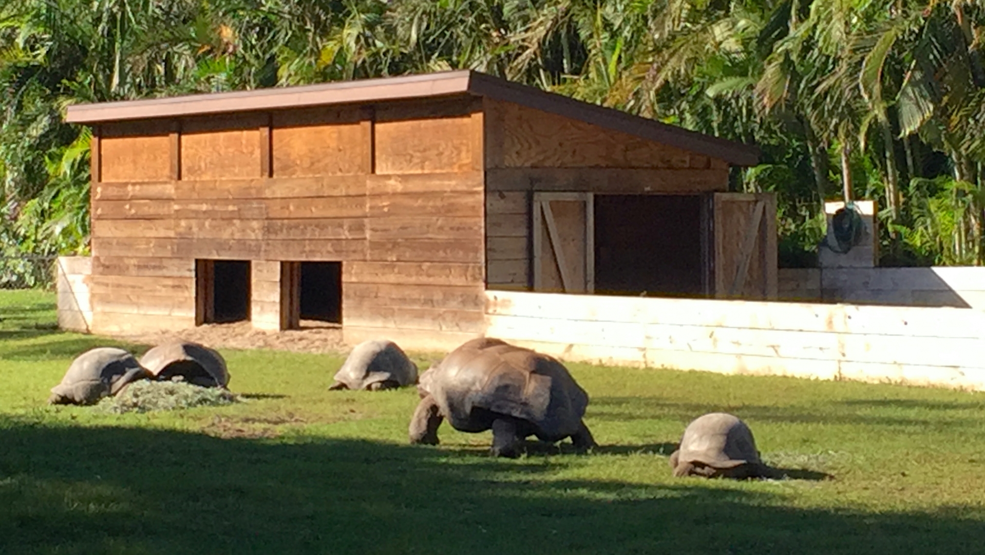 Aldabra Breeders