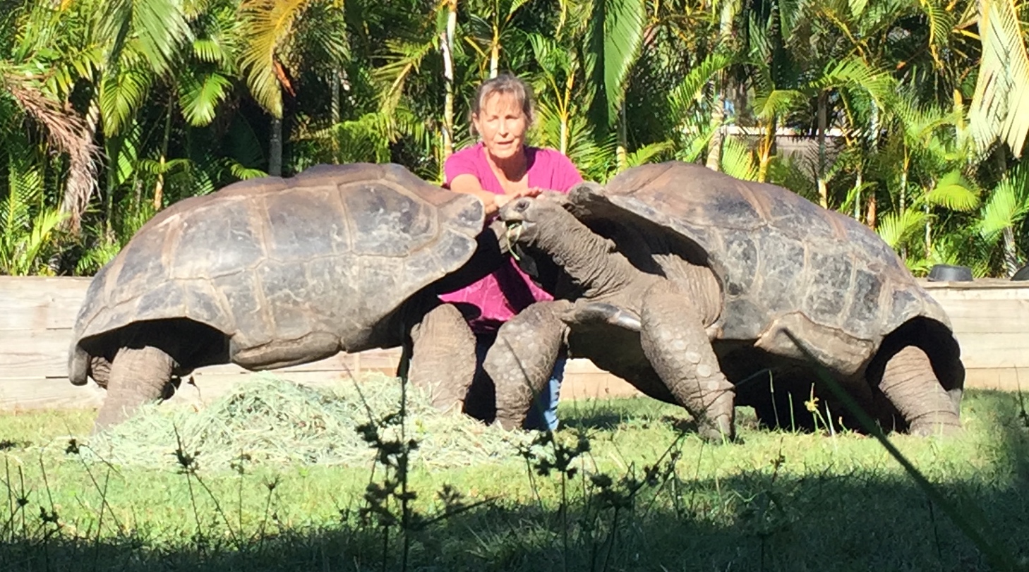 Aldabra Breeders