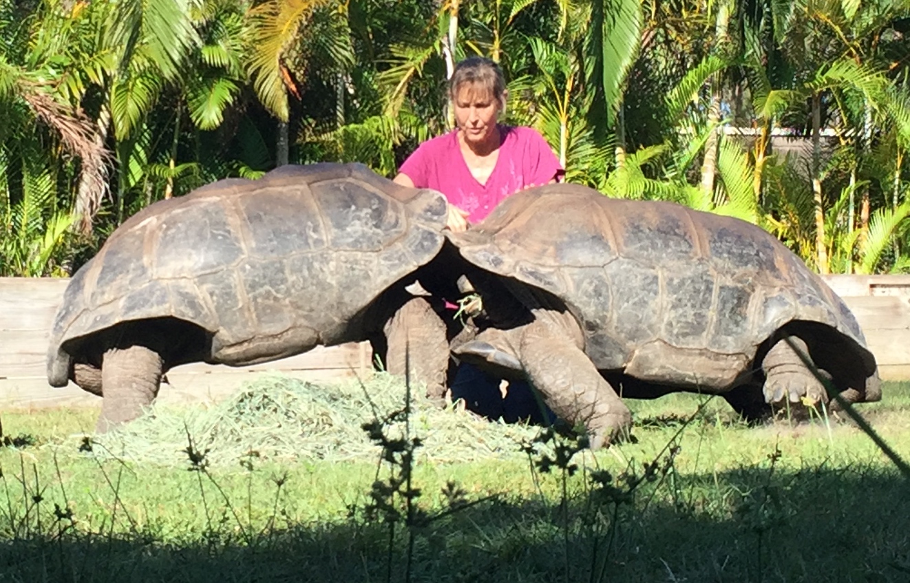 Aldabra Breeders