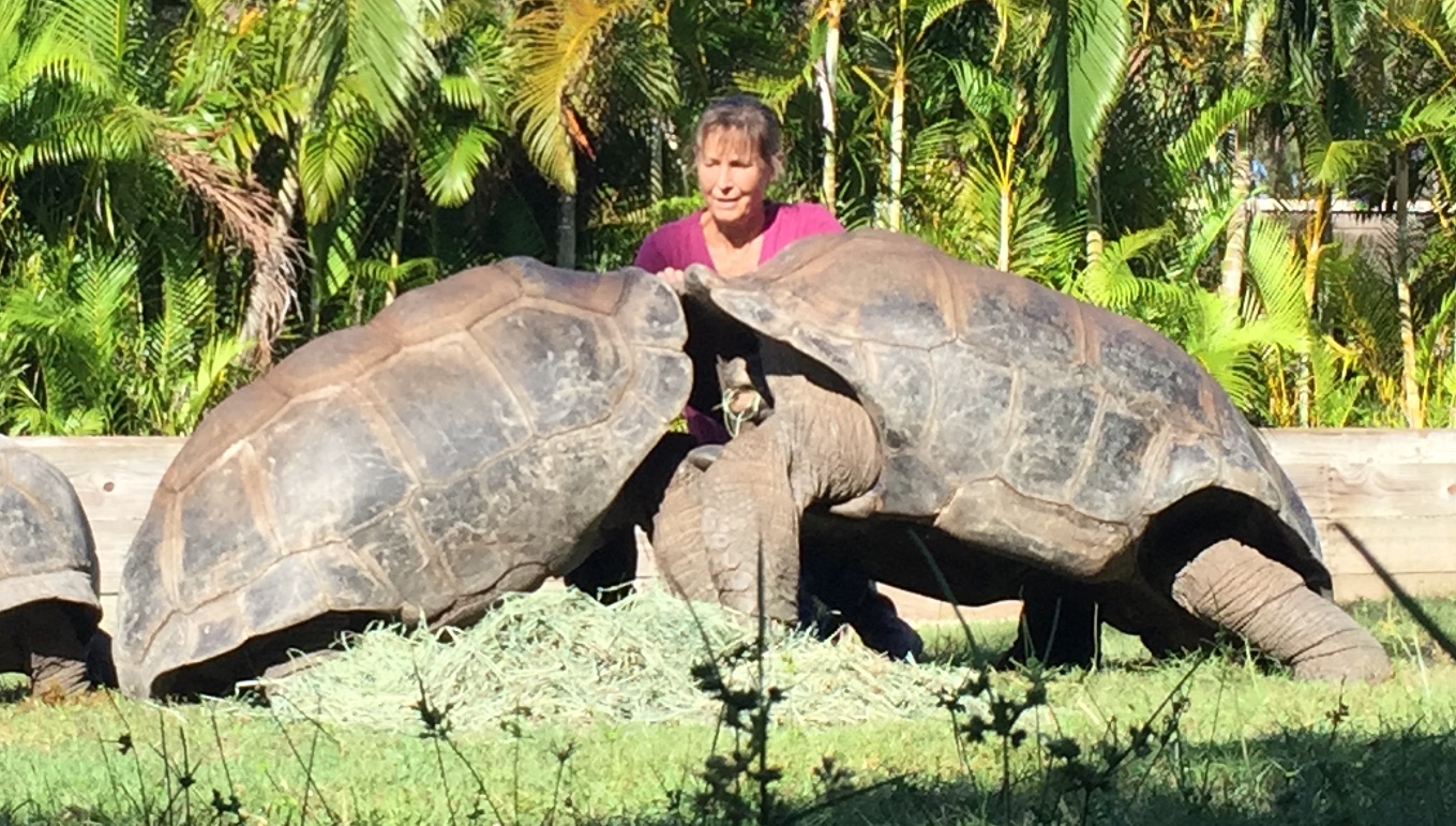 Aldabra Breeders