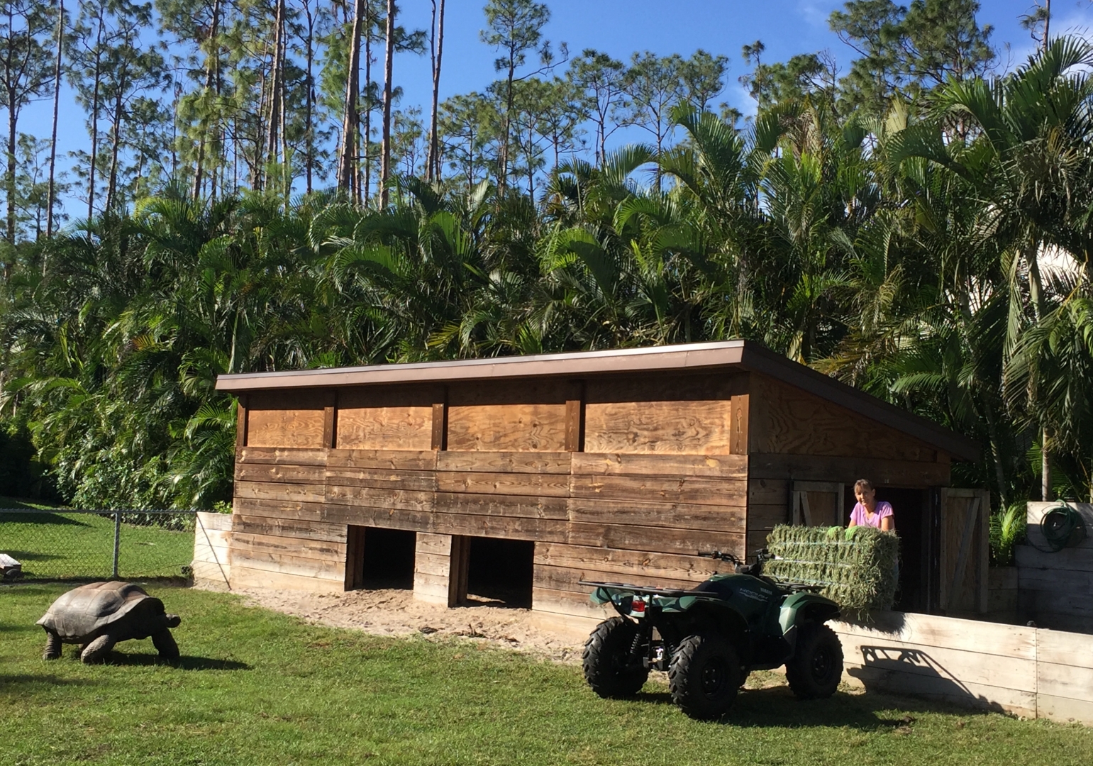 Aldabra Breeders