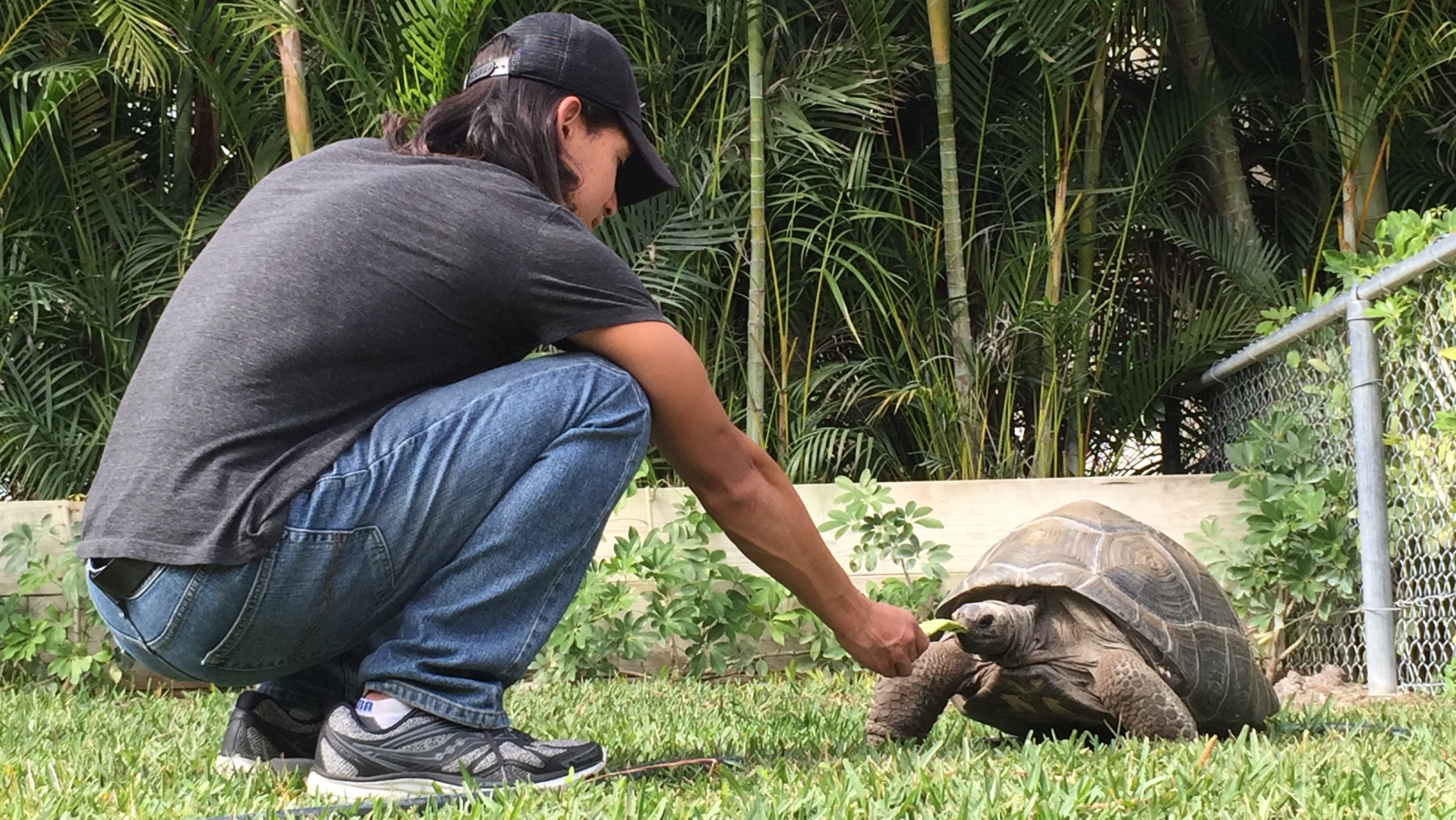 Aldabra Breeders