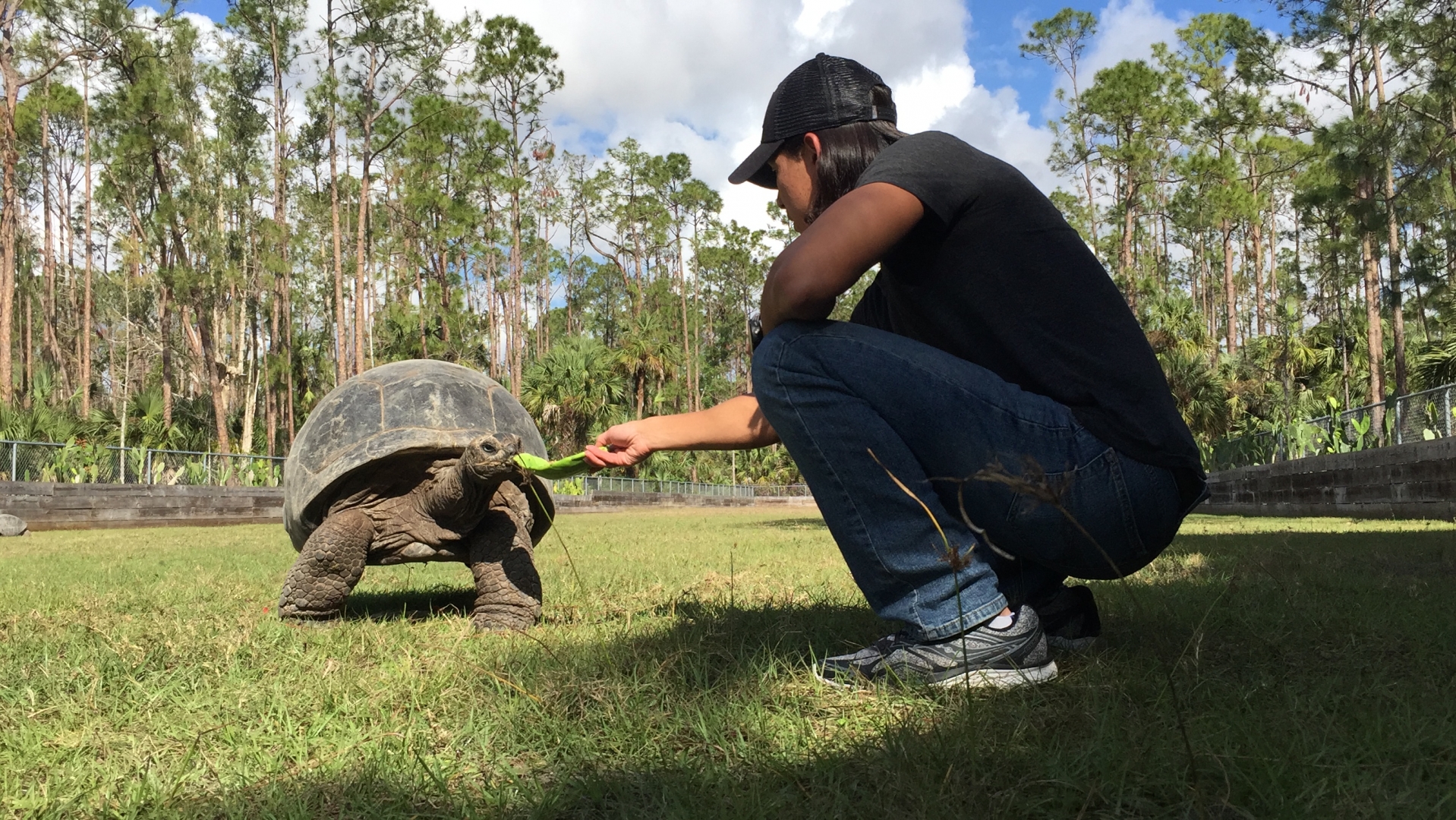 Aldabra Breeders