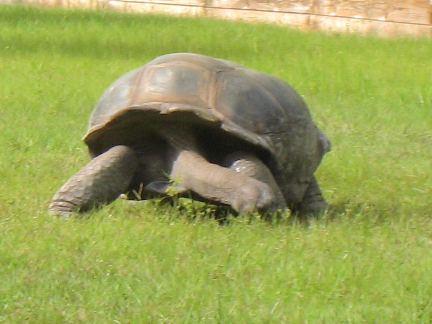 ALDABRAMAN