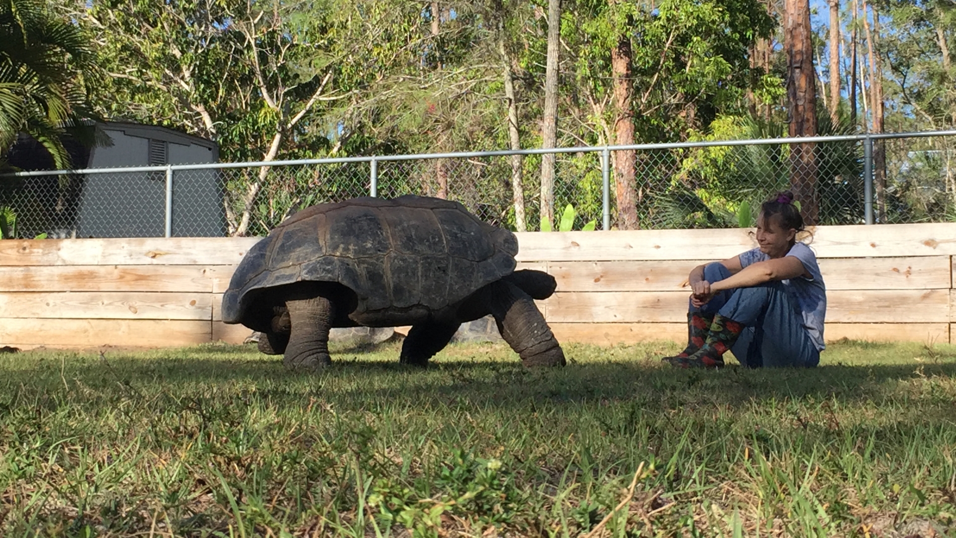 ALDABRAMAN