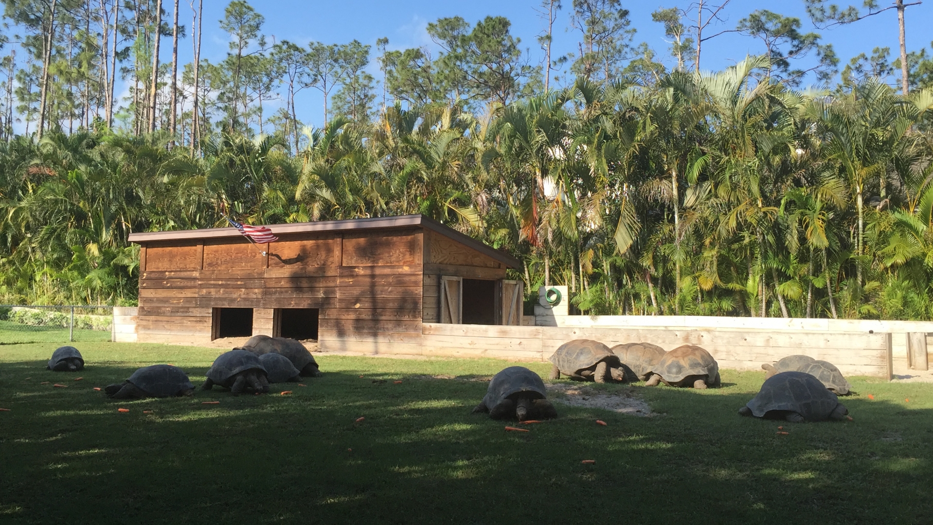 ALDABRAMAN