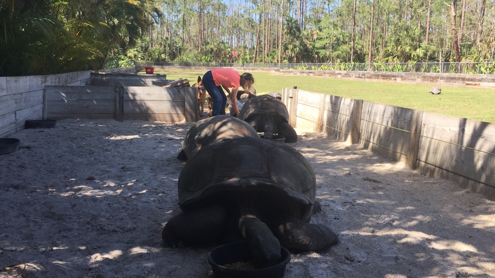 ALDABRAMAN