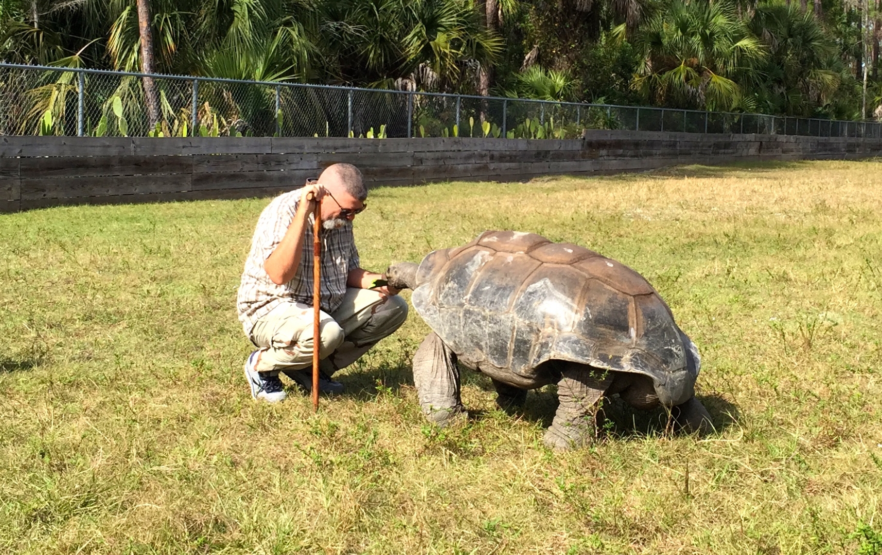 ALDABRAMAN
