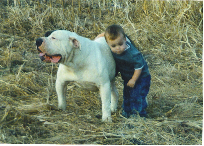 american bulldogs trade for morp pythons