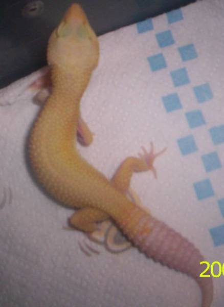 And Again  a LetkeysLeo