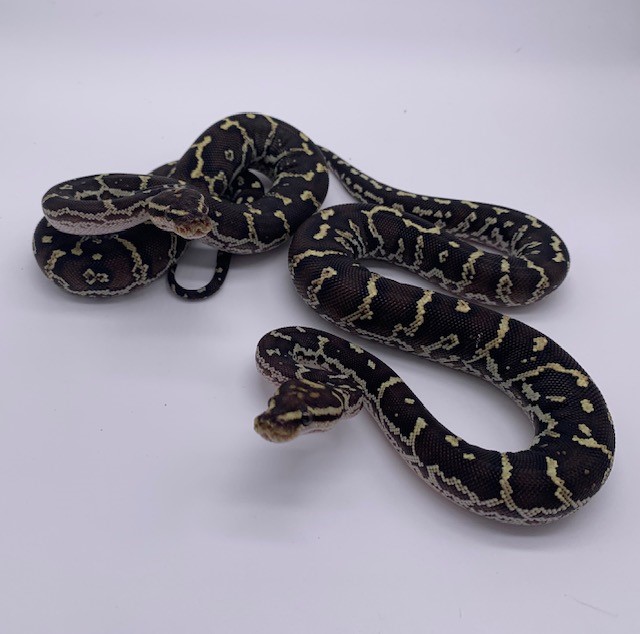 ANGPAIR