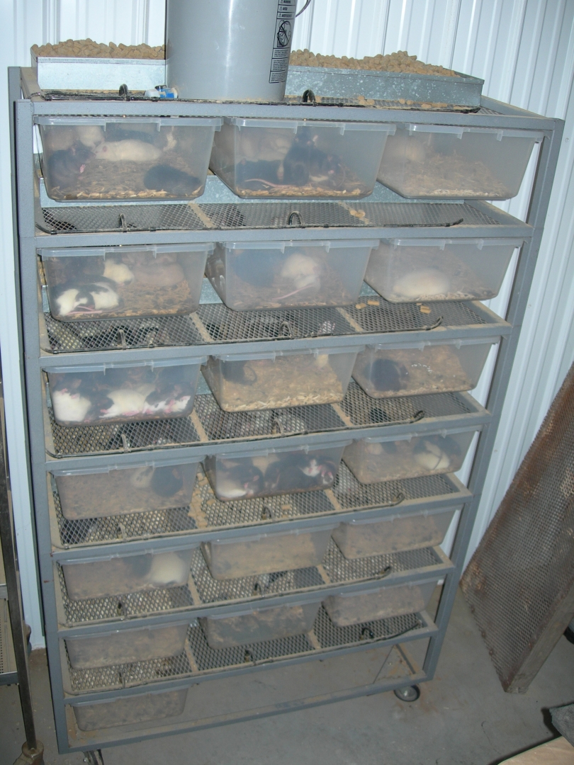 ARS 3021 Rack