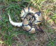 baby outside