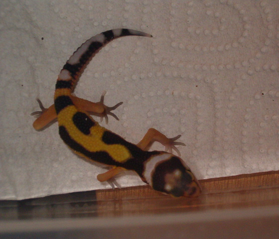 baby_05-10-06