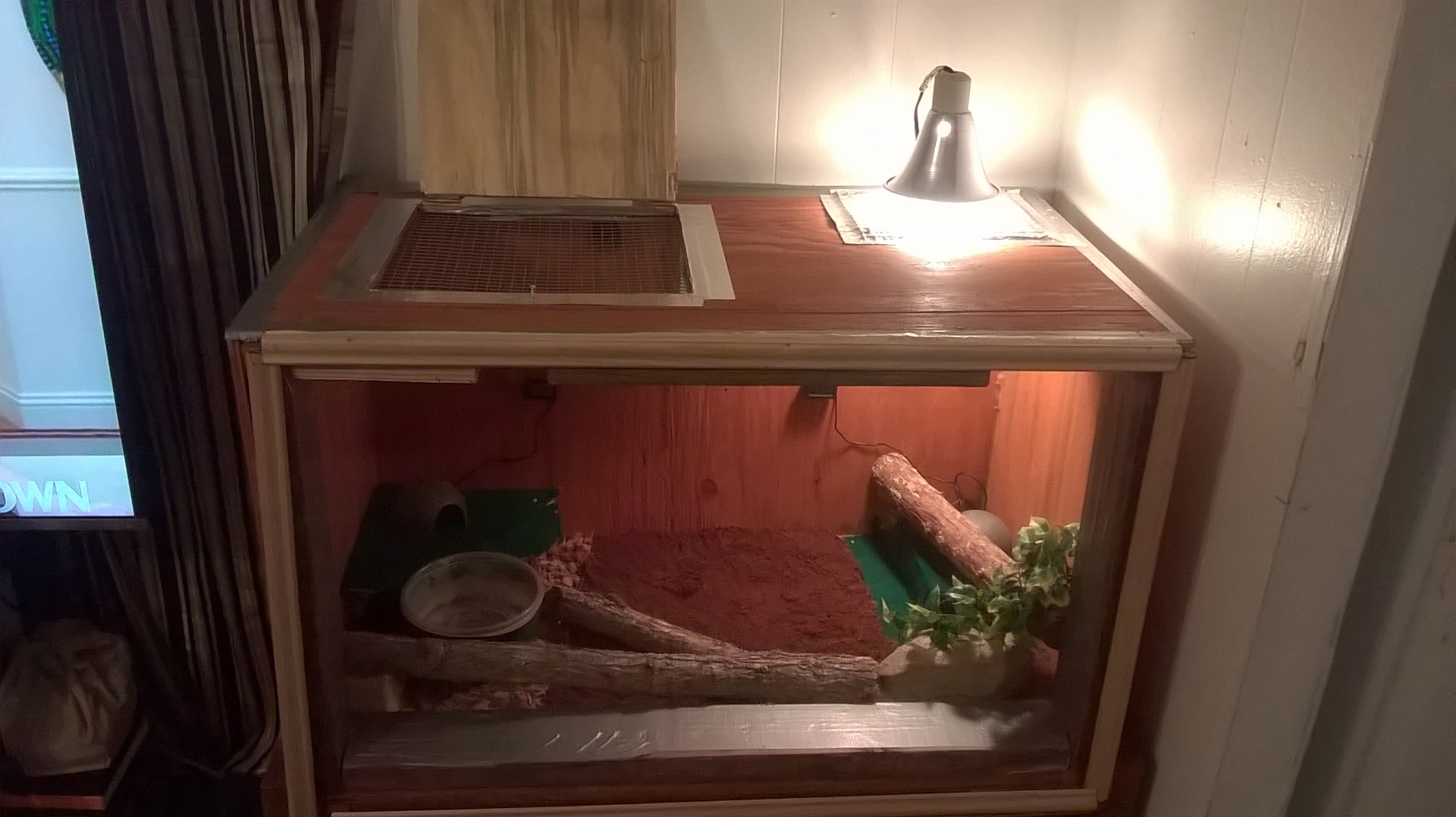 ball python cage