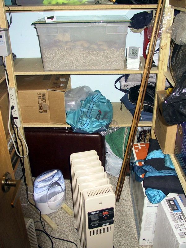Basement_incubator_closet