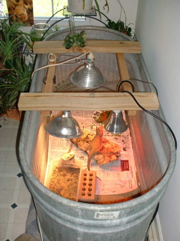 beardiesetup