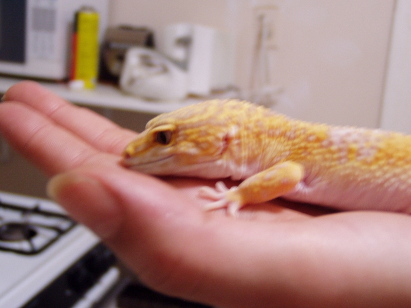 bichitos021