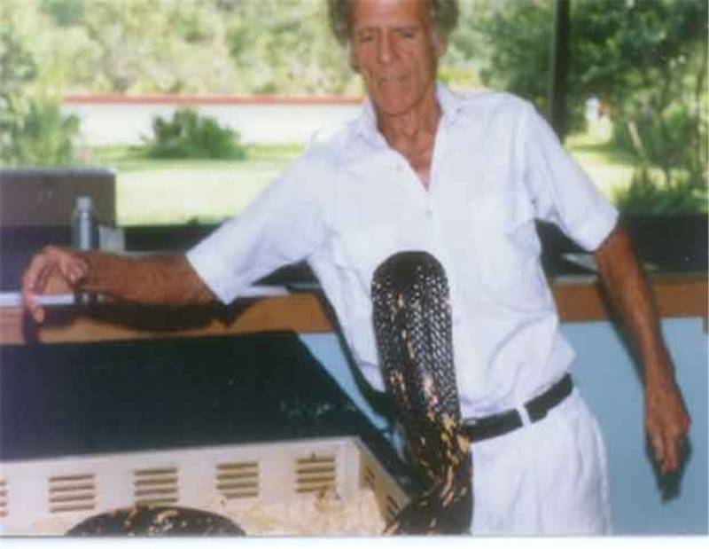 Bill catching Naja haje