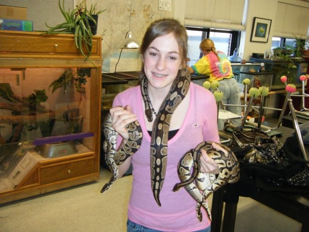 Boy Ball Pythons
