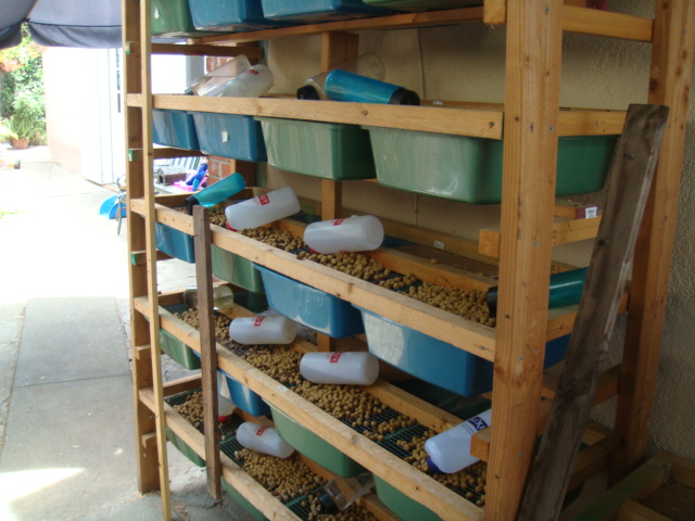 breeding rack