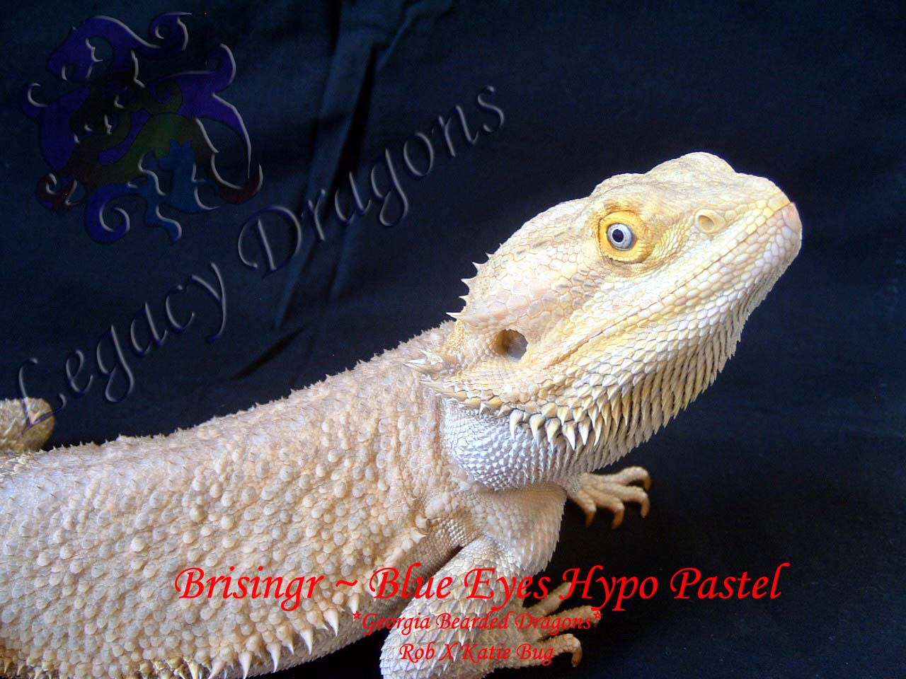 Brisingr