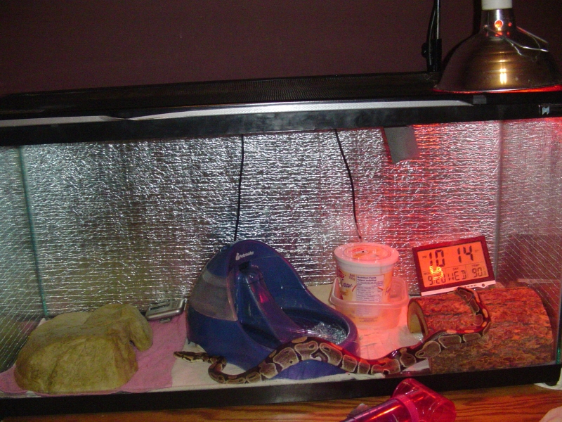 Cage Setup
