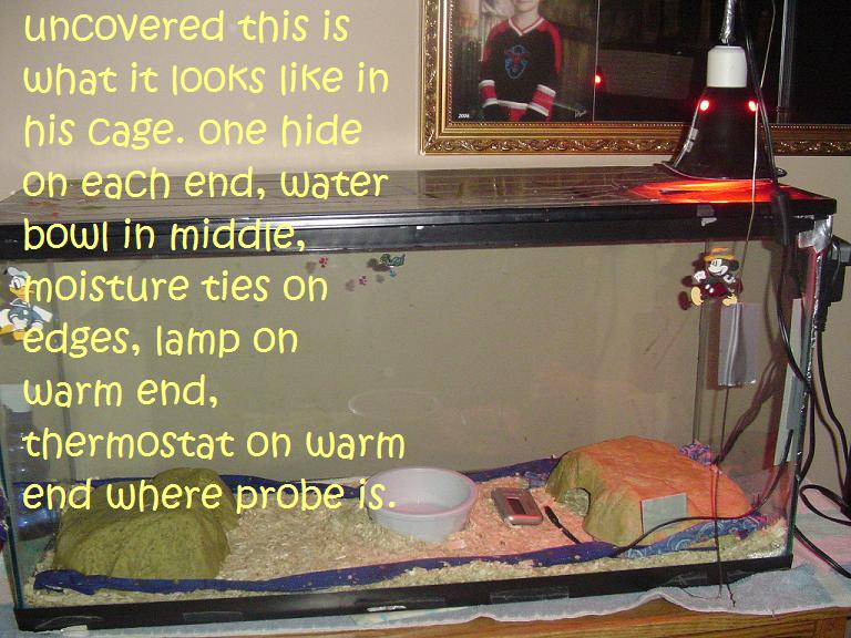 cage_setup