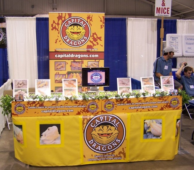 Capital Dragons - Canada's source for extreme bearded dragon color morphs.