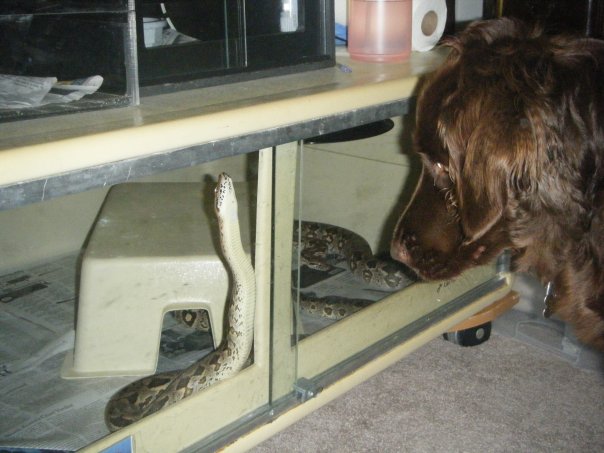 Carlos &amp; Hershey