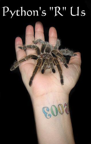Chica!
