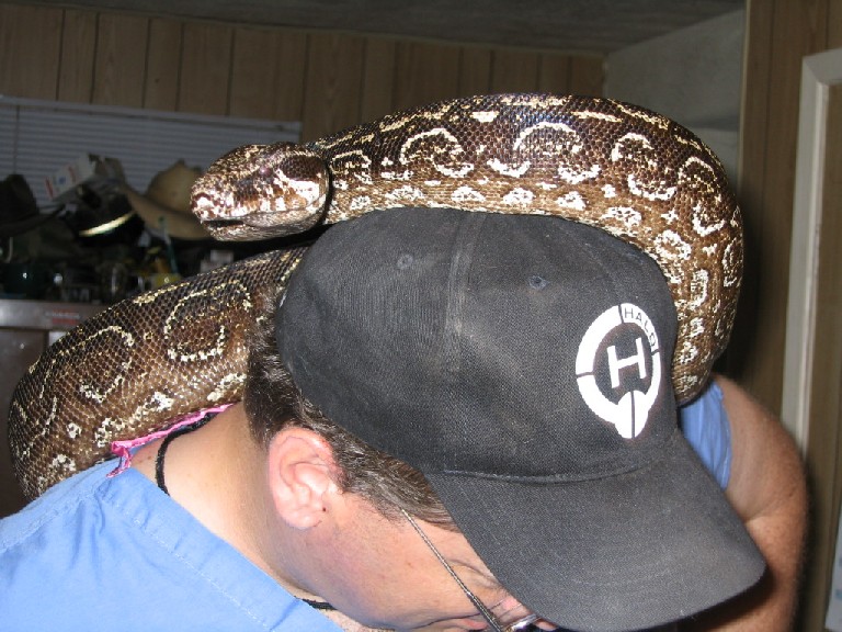 Cookie Monster