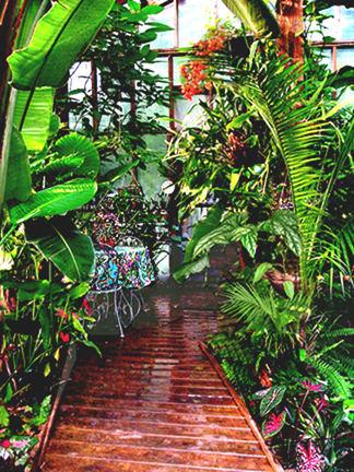 "Costa Rica Under Glass"