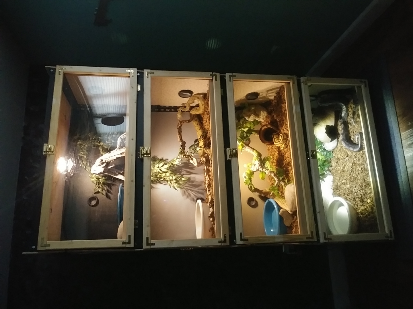 Crowder's Collections