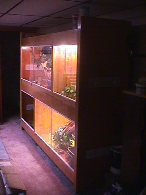 Custom Built Wall Unit