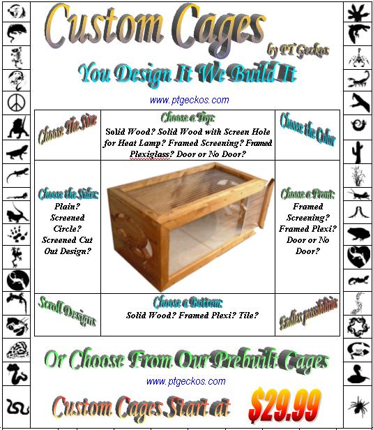 Custom Cages By PT Geckos Flyer
